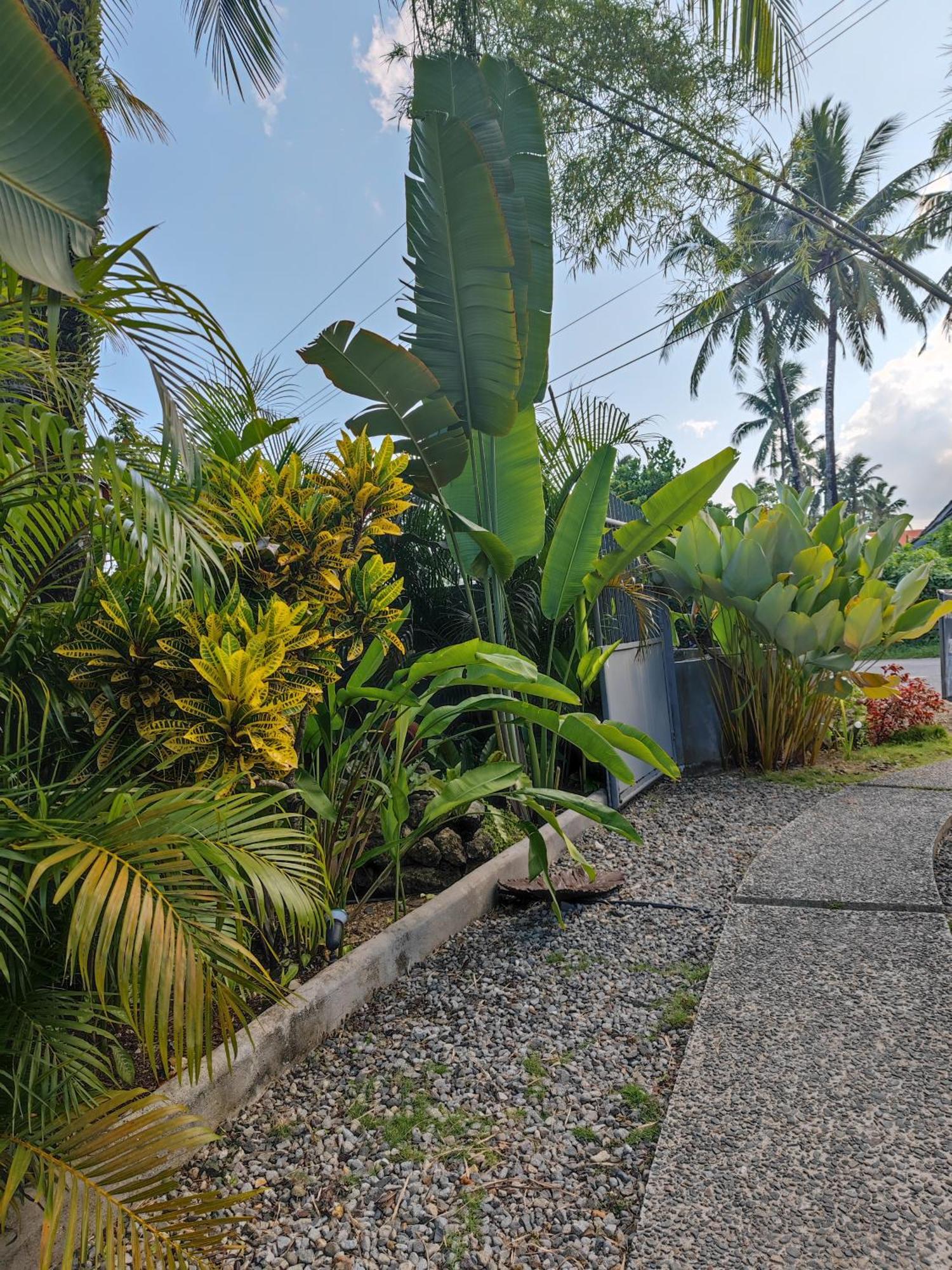 Daluyong Beach Resort General Luna  Esterno foto