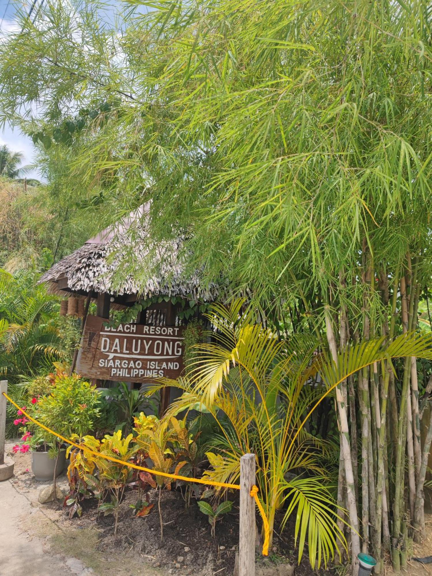 Daluyong Beach Resort General Luna  Esterno foto